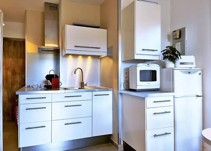 4 Pers. Proche Avec Parking - Fr-1-251-398 Apartman Le Lavandou